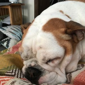 Meet your Posher, Carrie